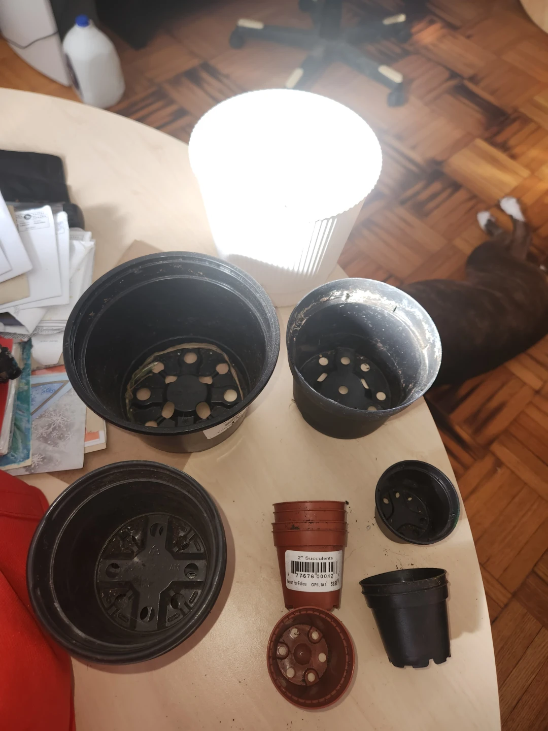 Assorted Plant Pots