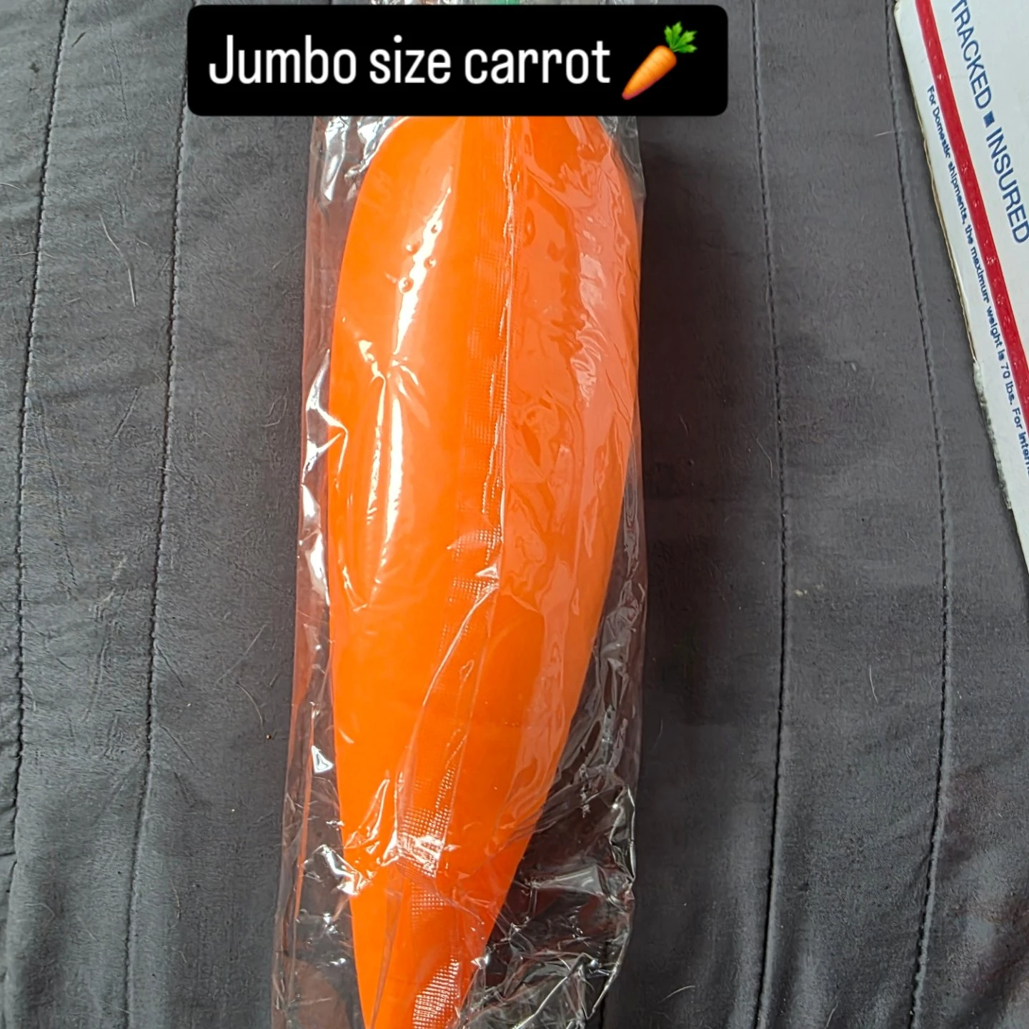 Jumbo Size Carrot Squishy