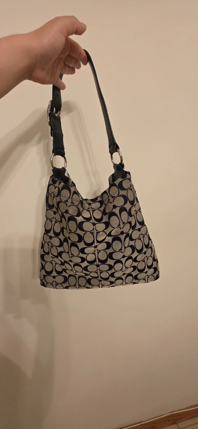 Coach Signature Hobo Handbag