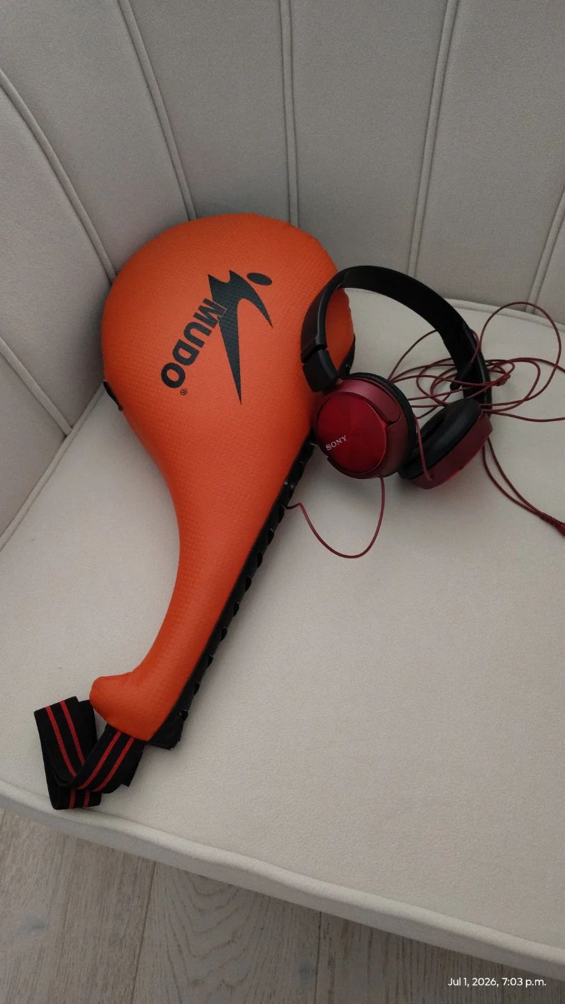 MUDO Taekwondo Kick Pad and Sony Headphones