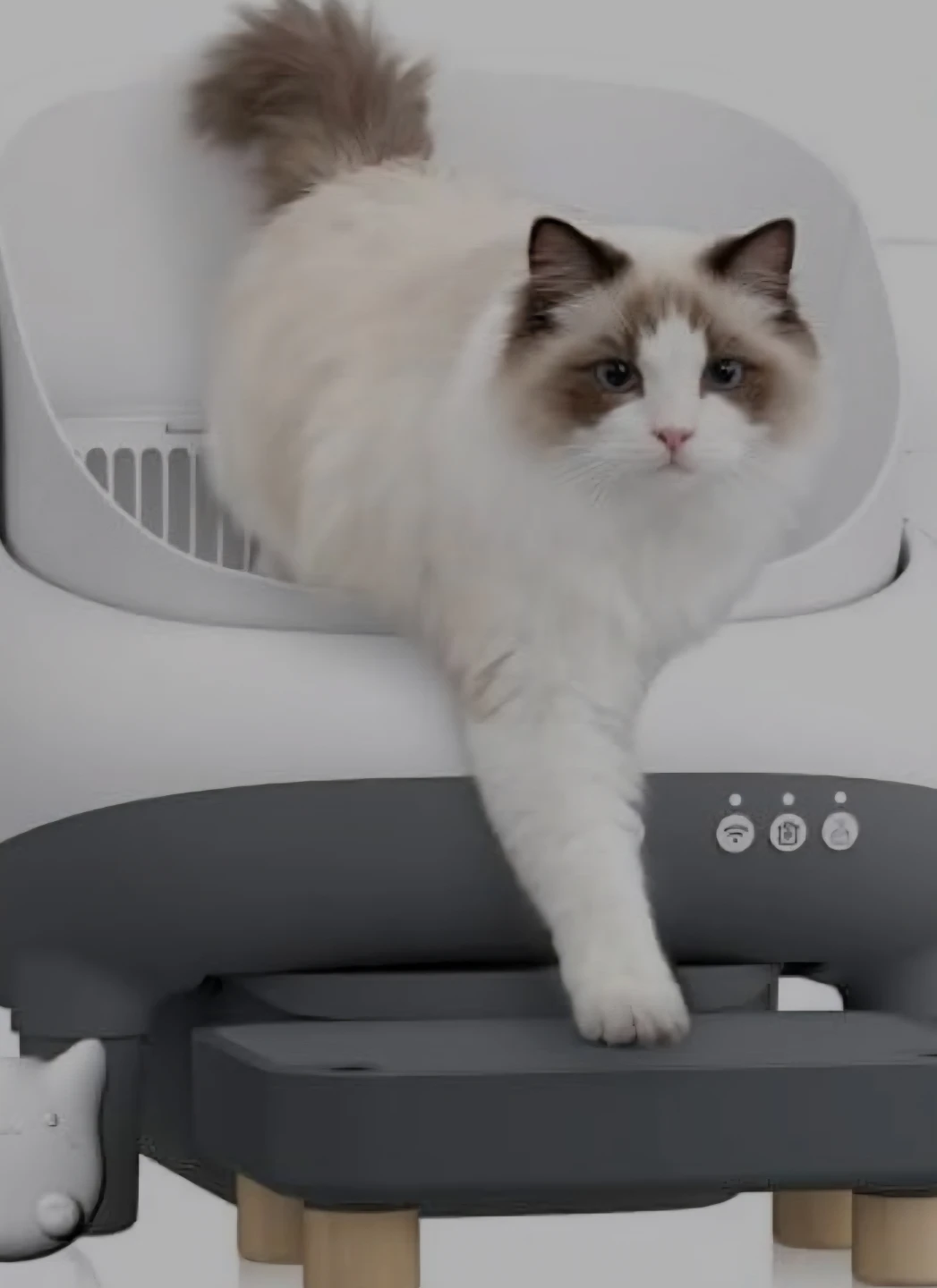 Smart Automatic Cat Litter Box