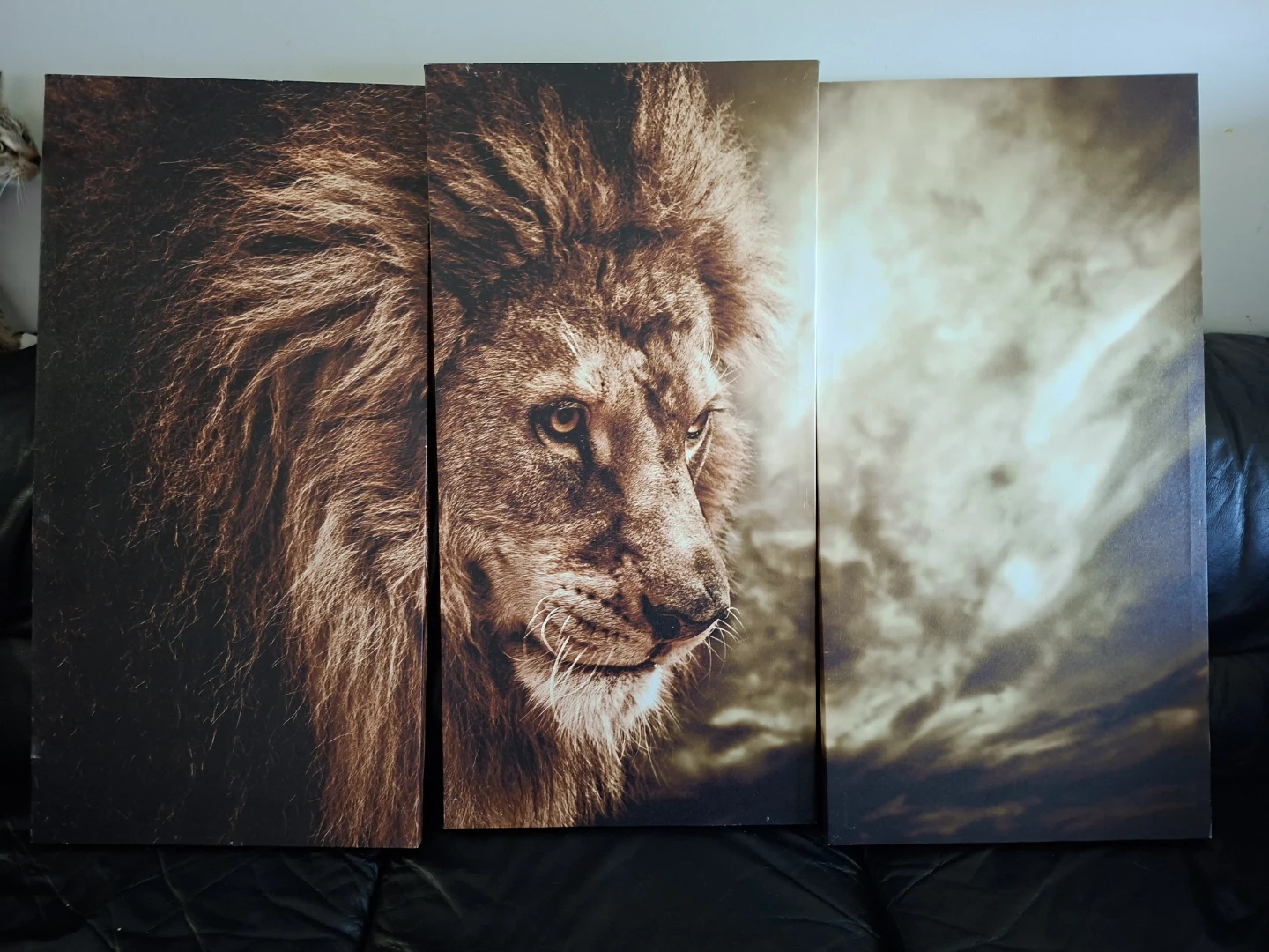 3-Piece Lion Canvas Wall Art