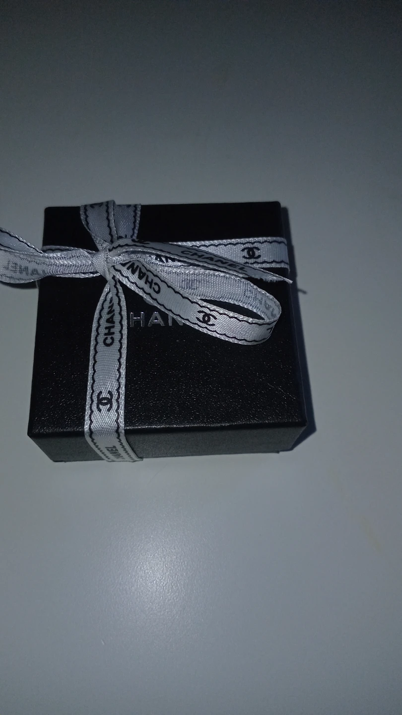 Chanel CC Logo Earrings with Box
