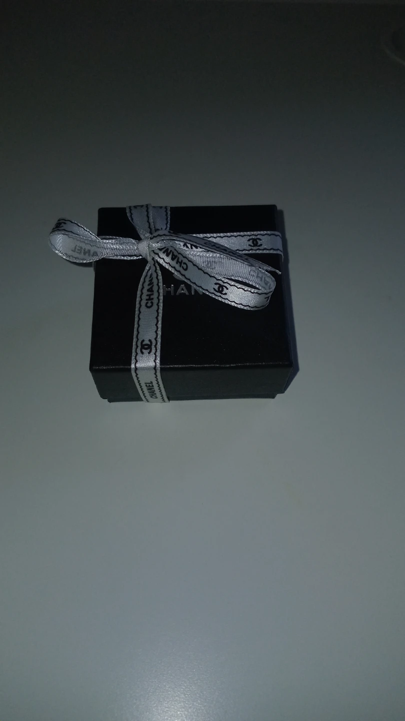 Chanel CC Logo Earrings with Box - photo 2