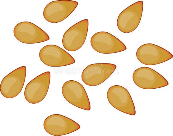 Tomatoes Seeds (Organic Heirloom)
