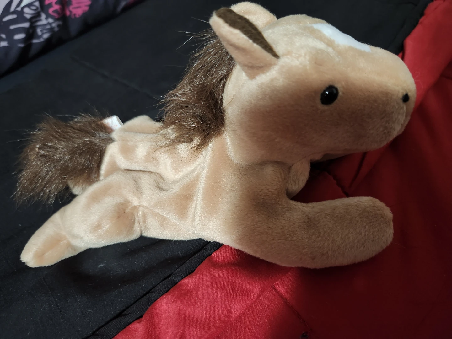 $5 beanie babies derby