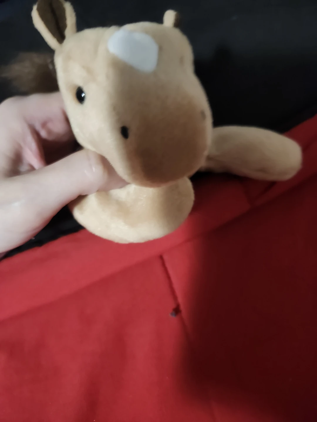 $5 beanie babies derby - photo 2