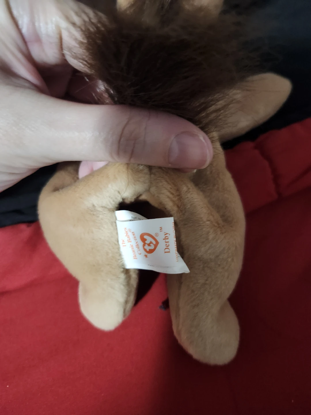 $5 beanie babies derby - photo 3