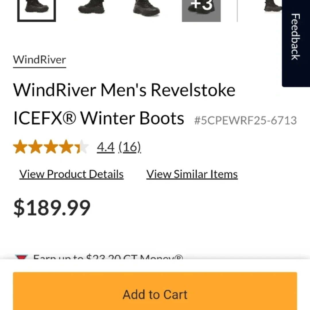 WindRiver Men's Revelstoke ICEFX Winter Steel toe  Boots - photo 4