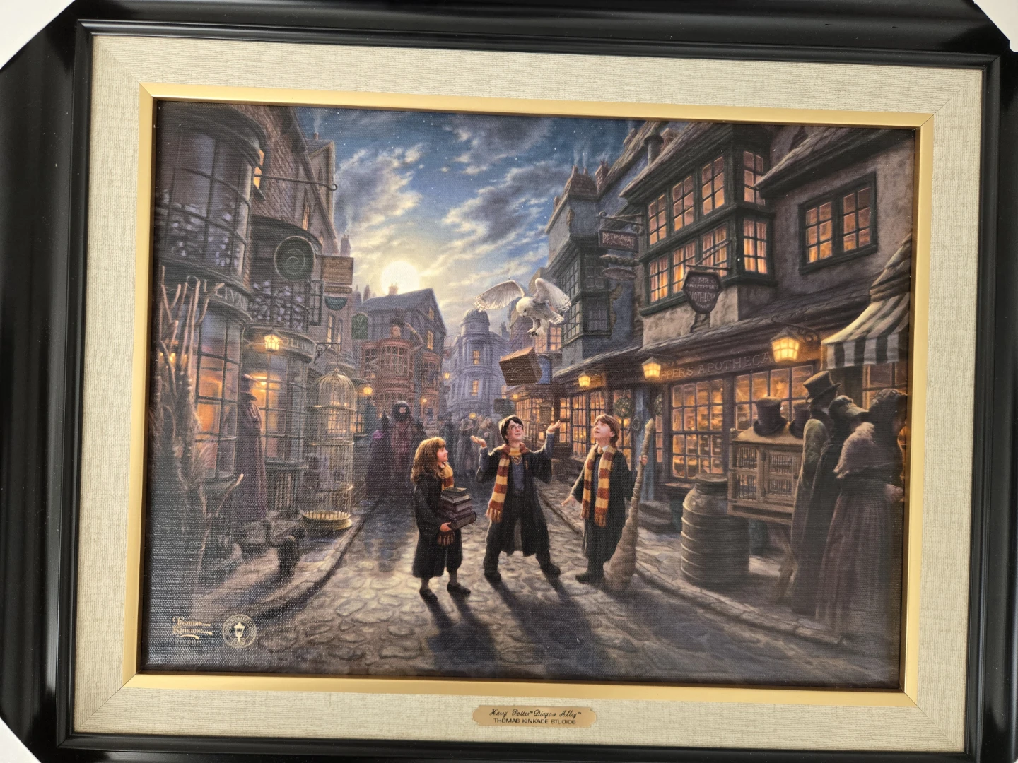 Harry Potter™ Diagon Alley™ - LIMITED EDITION Canvas