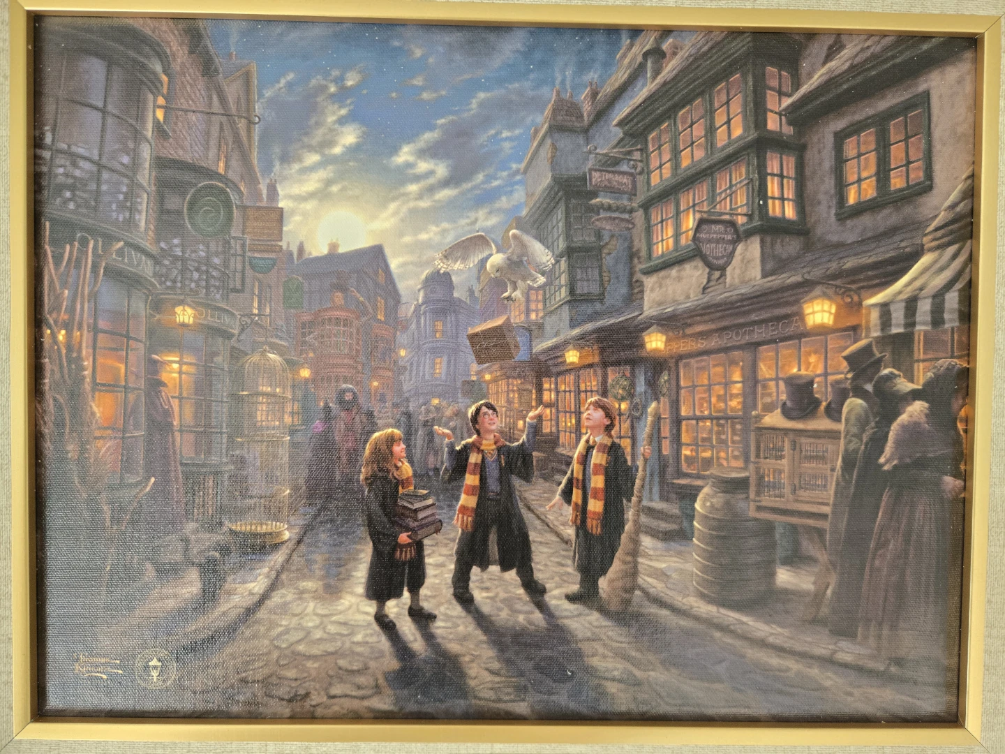 Harry Potter™ Diagon Alley™ - LIMITED EDITION Canvas - photo 2