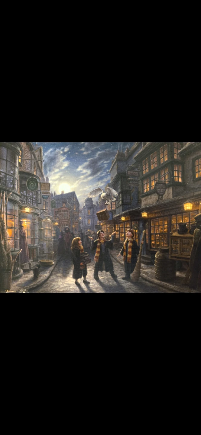 Harry Potter™ Diagon Alley™ - LIMITED EDITION Canvas - photo 5