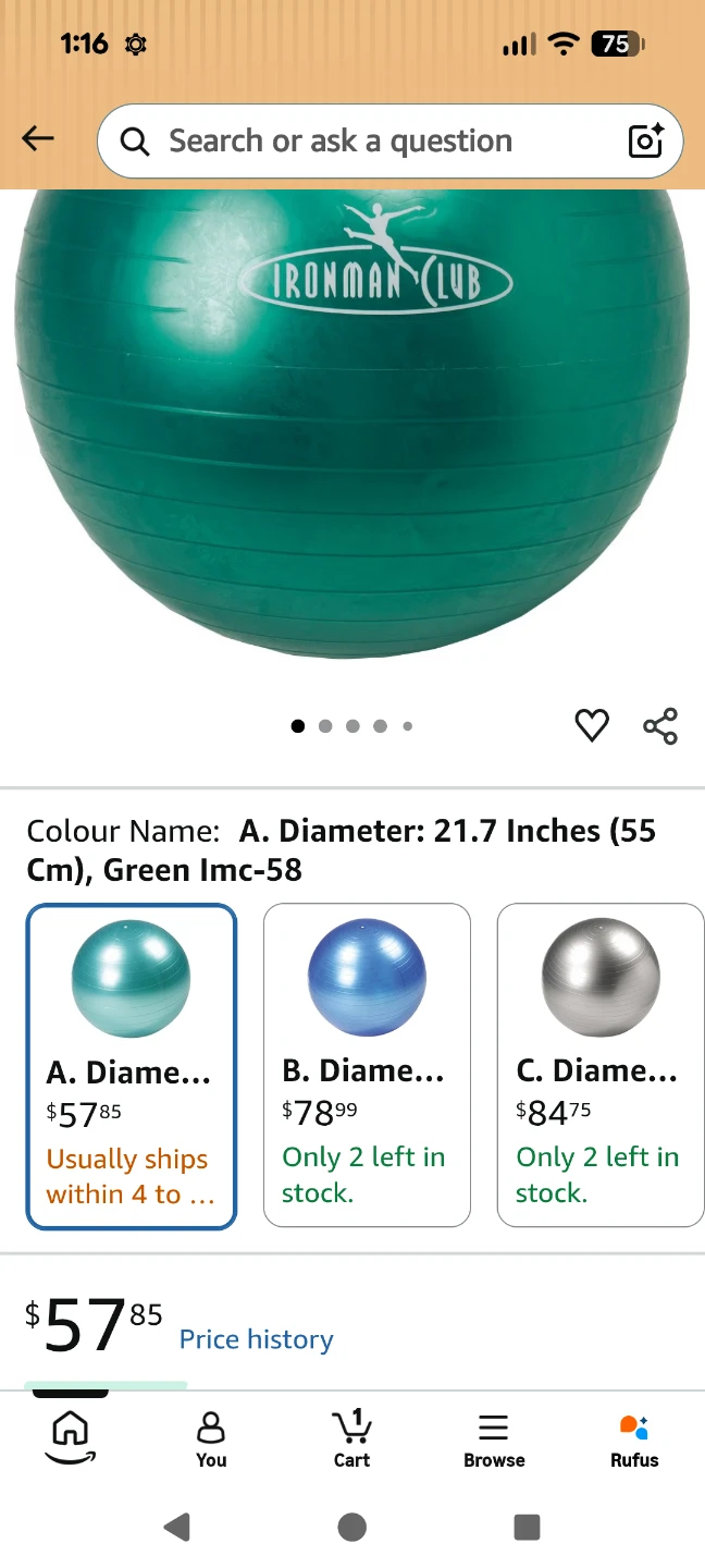 BOSU Balance Trainer and 55cm Exercise Ball+ - photo 5