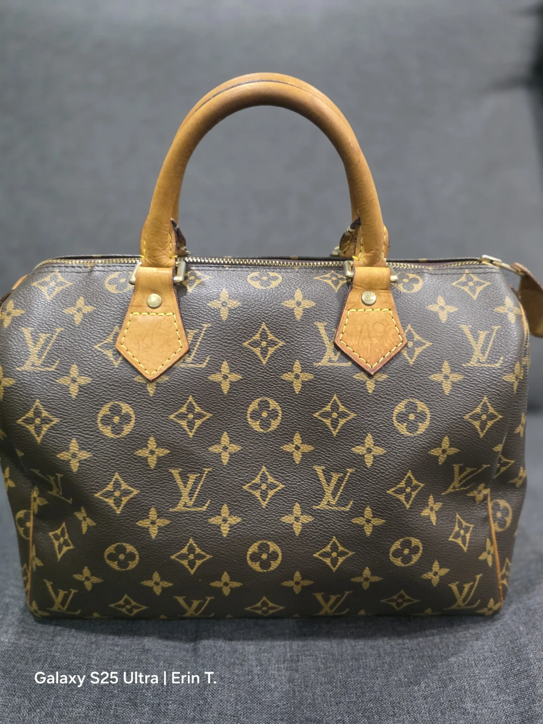 Speedy 25 Handbag