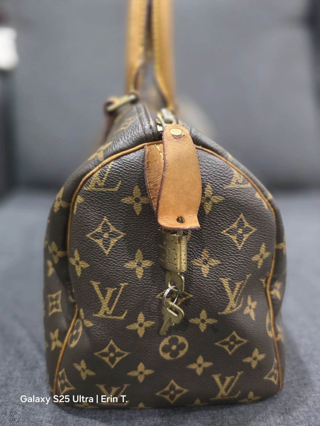 Speedy 25 Handbag - photo 3