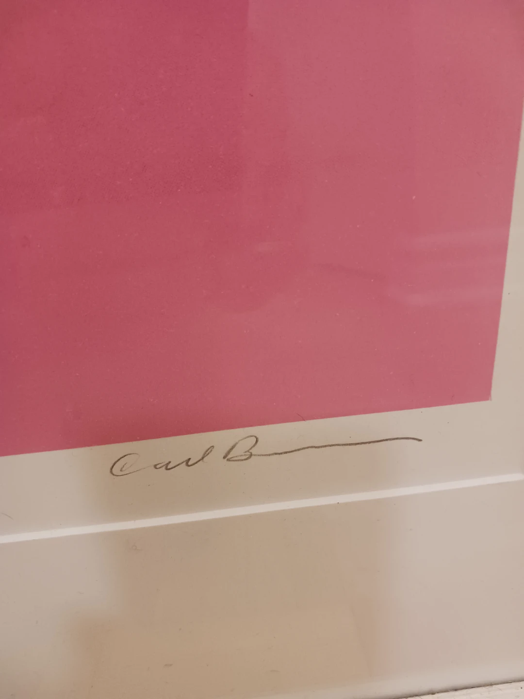 Framed Cher Autographed Print - Limited Edition 110/200 - photo 4
