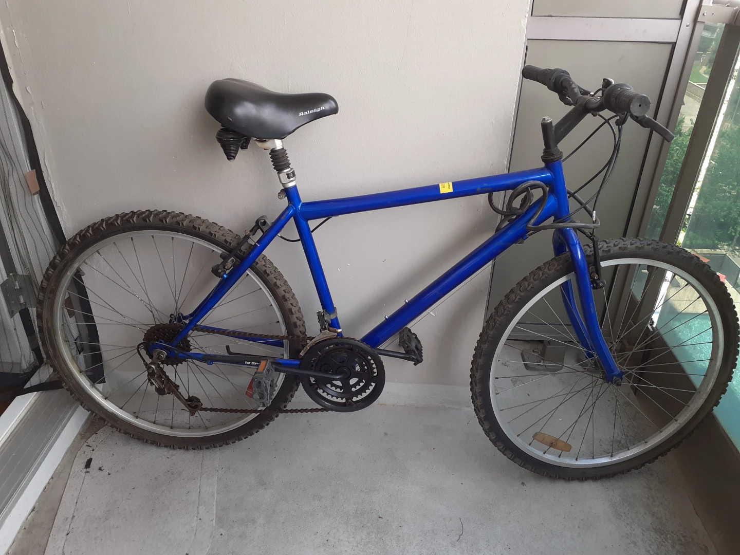 Raleigh Blue Mountain Bike