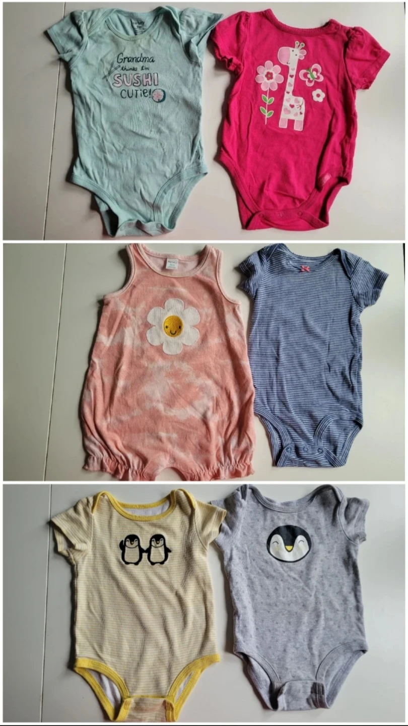 9 months Baby Girl Clothes Lot - Carter's, OshKosh & More - photo 4