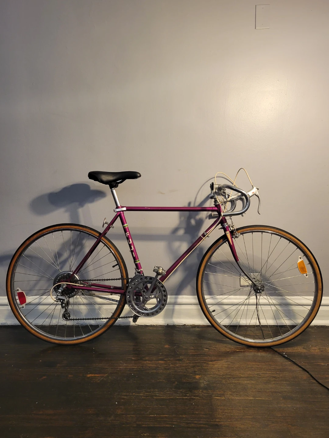 Vintage Fuji Road Bike - Purple