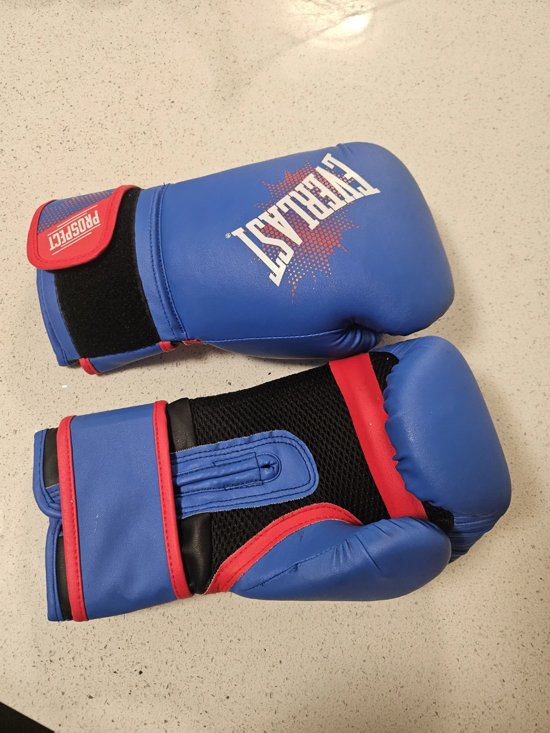 Everlast Prospect Boxing Gloves