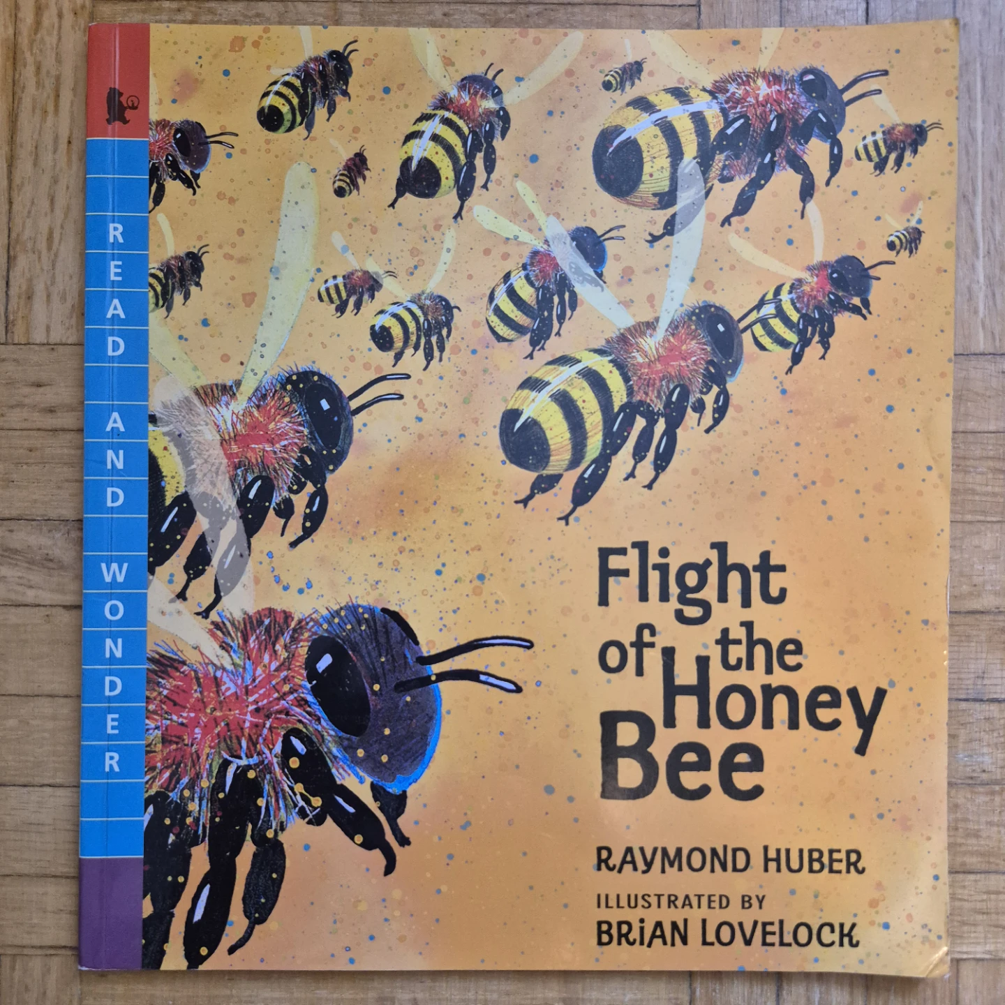 Set of 7 Books about Bugs for Kindergarten - photo 3