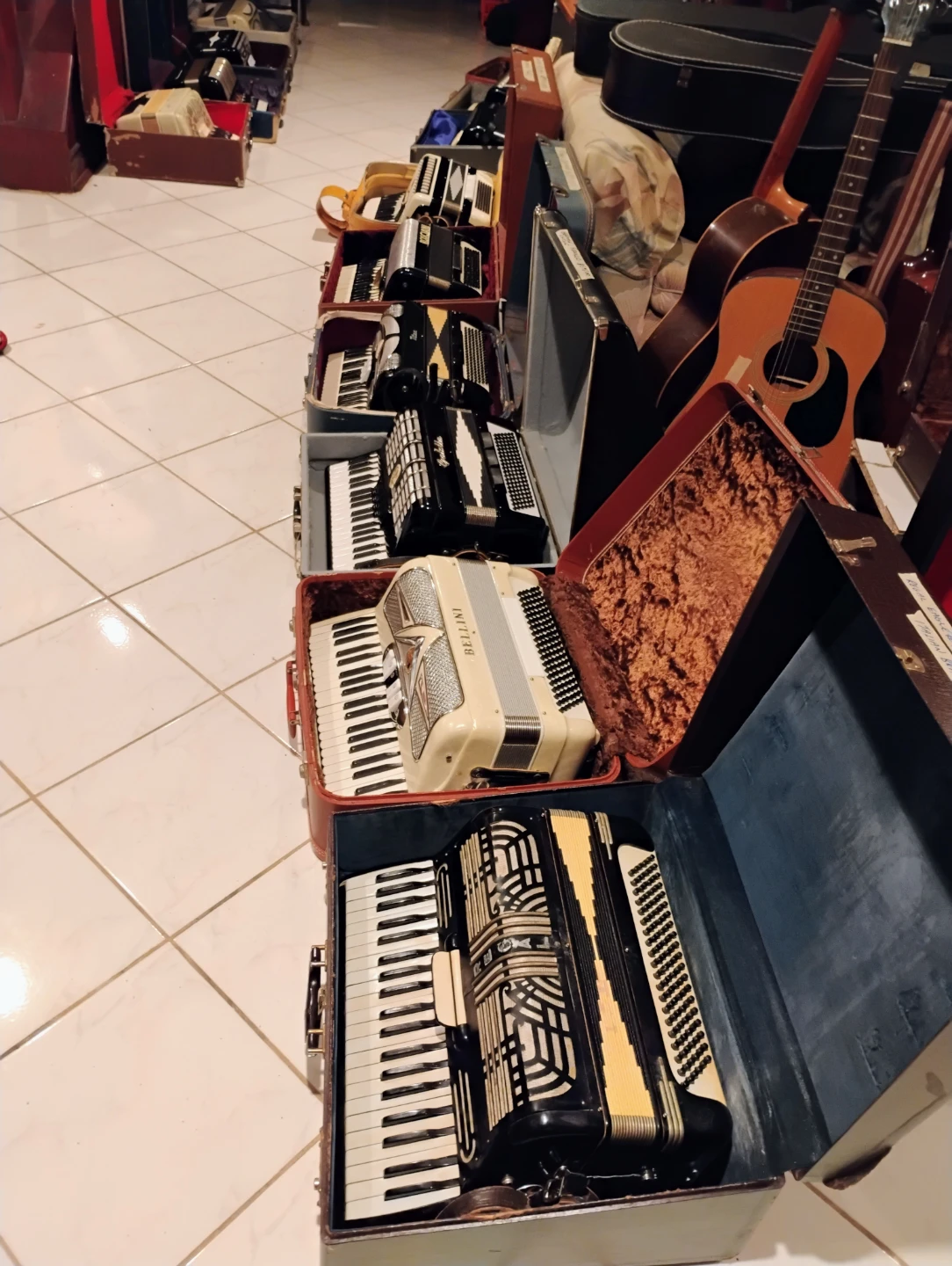 Collection of Accordions - photo 2