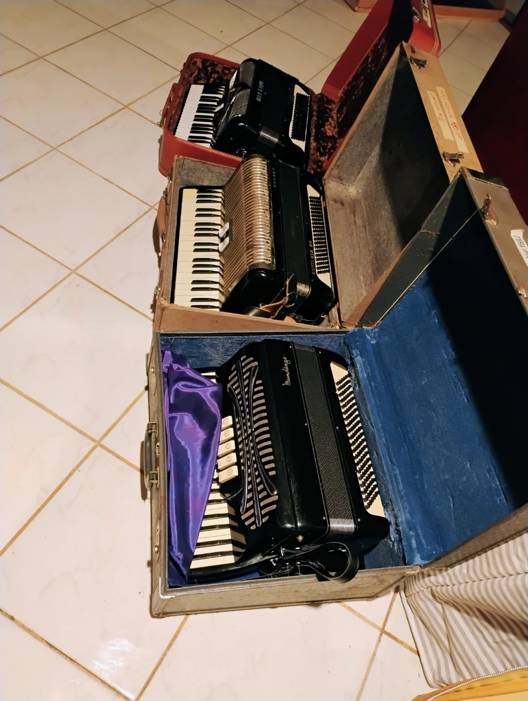 Collection of Accordions - photo 3