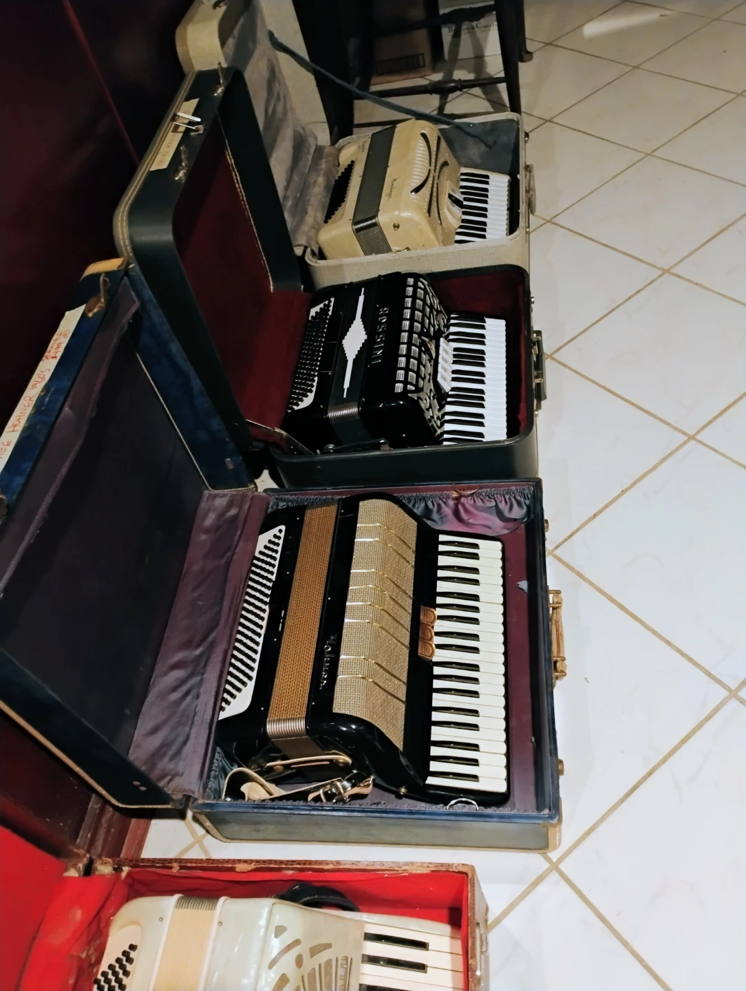 Collection of Accordions - photo 4