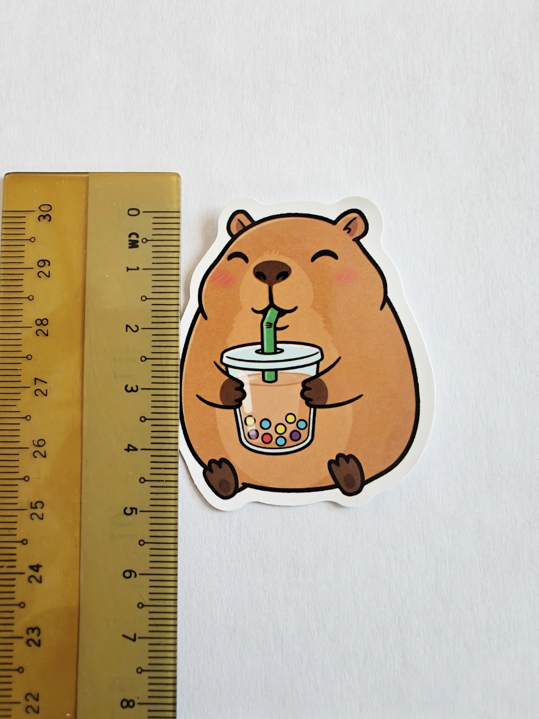 Capybara stickers 50 pcs - photo 3