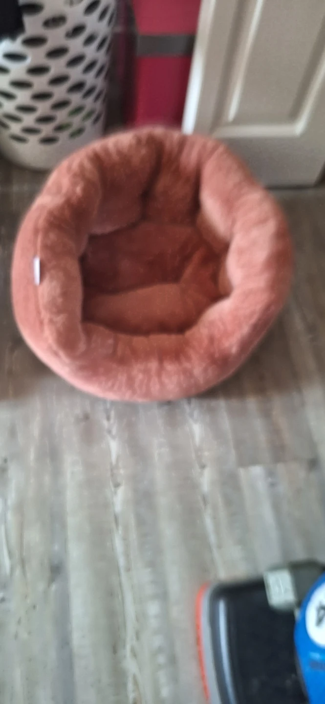 Round pet bed new