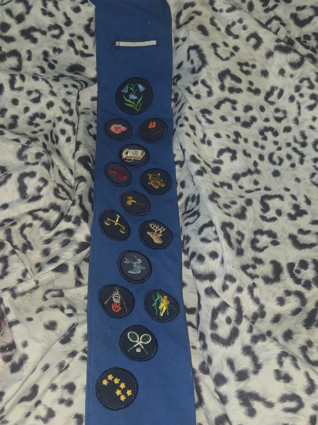 Blue Sash with Merit Badges