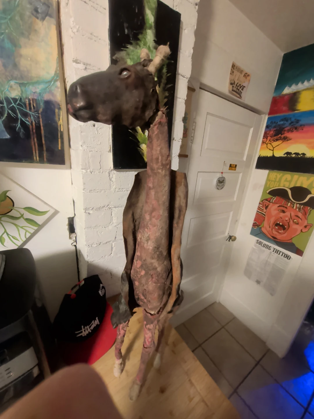 Unique Giraffe Sculpture (skinned wearing its own fur as a coat)