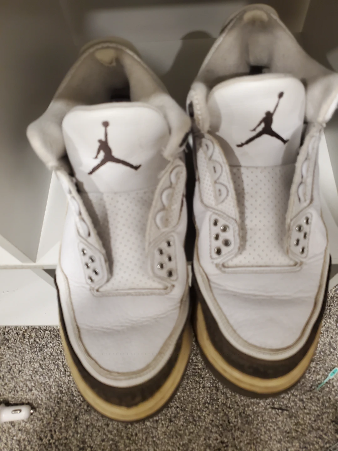 Air Jordan 3 Retro Shoes