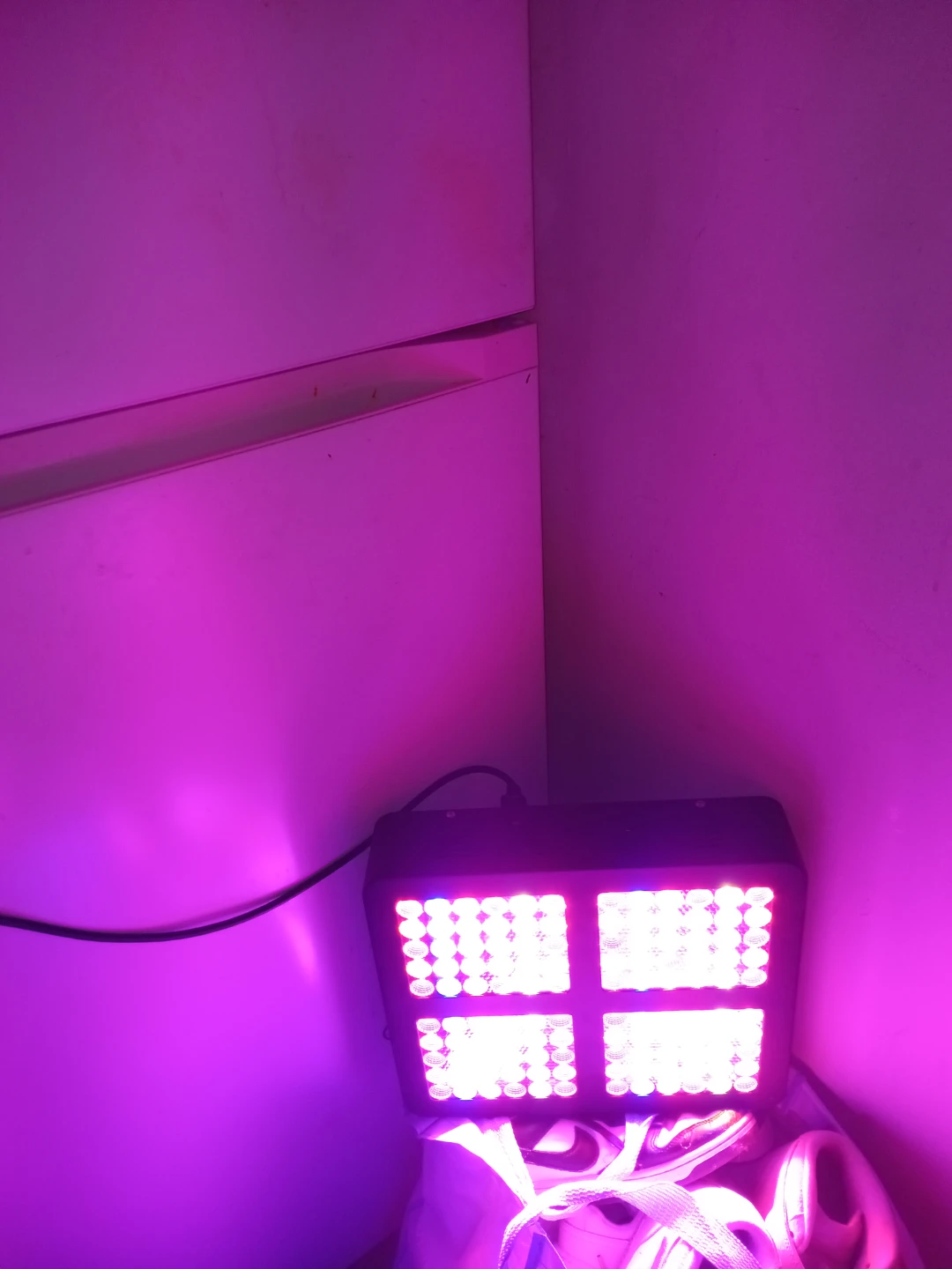 Plant growing set up - photo 2