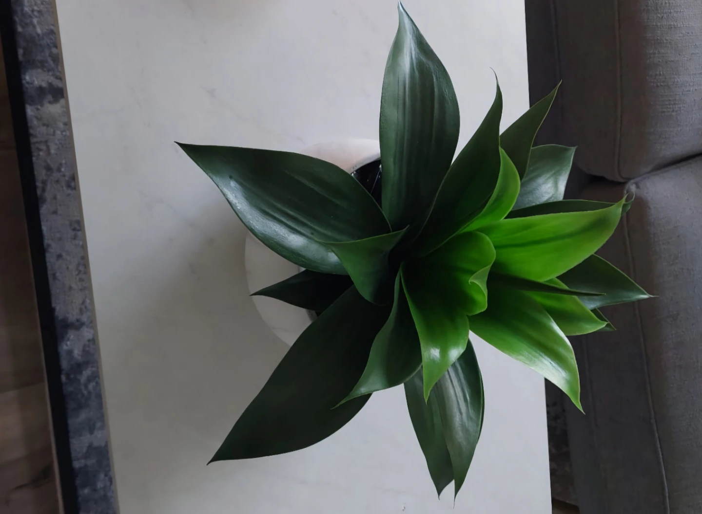 Moving Sale  Artificial Plant in White Marble-Like Pot - photo 2