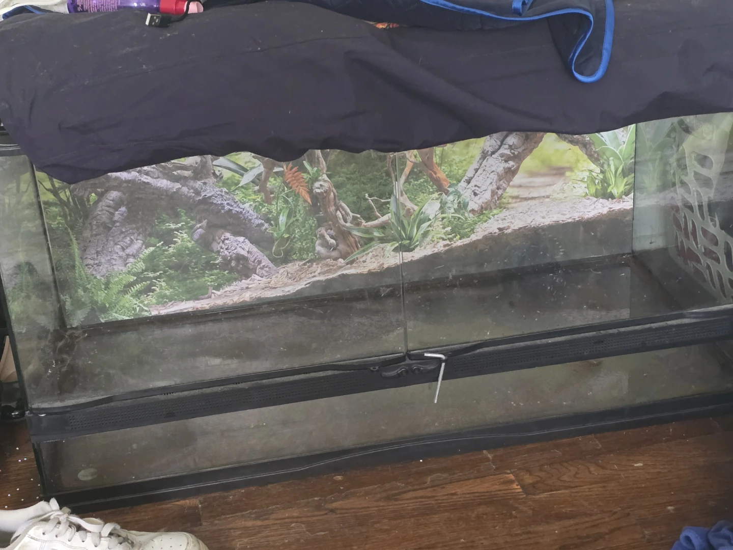 Large Reptile Terrarium Tank - photo 2