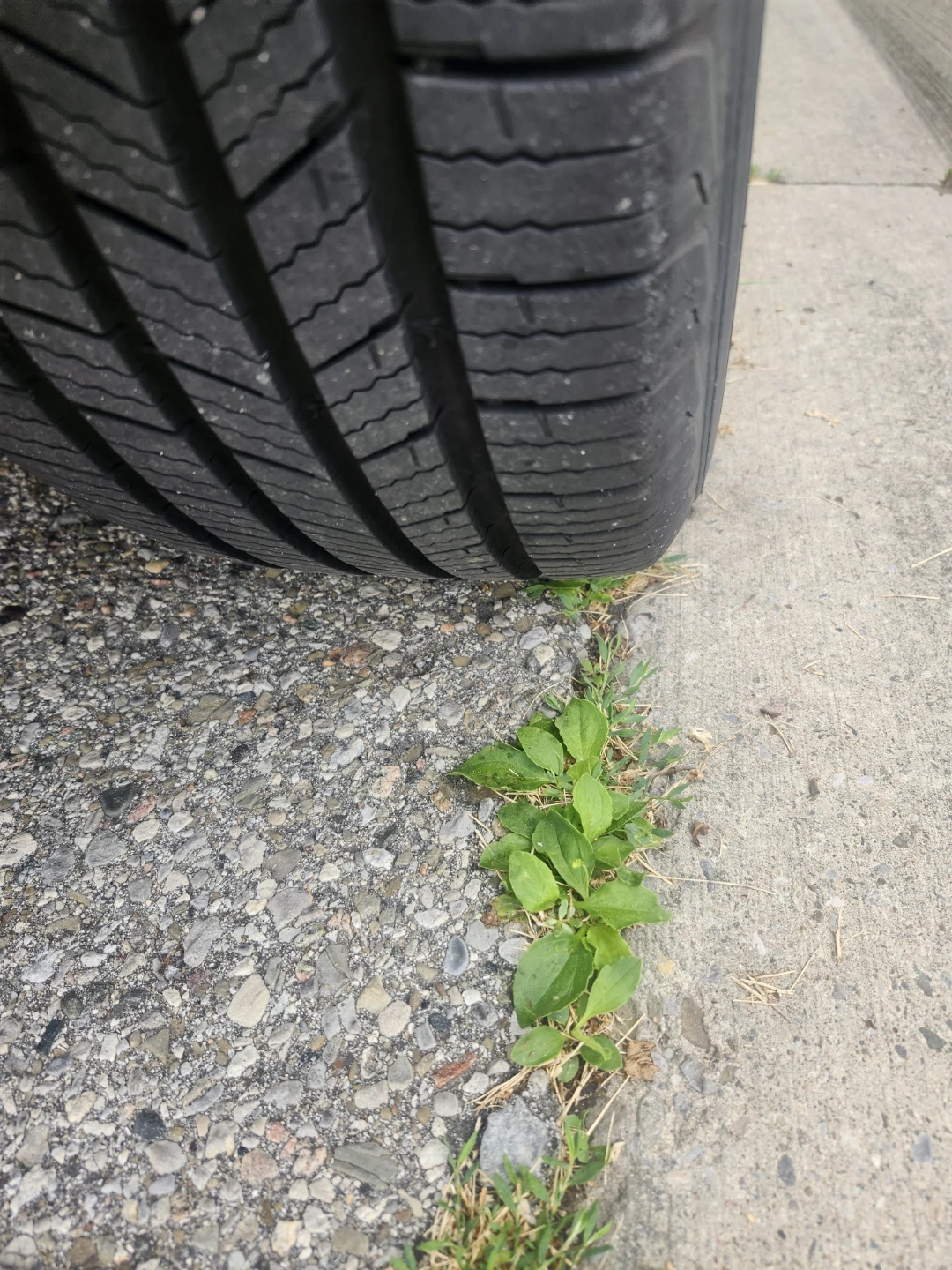 Car - photo 5
