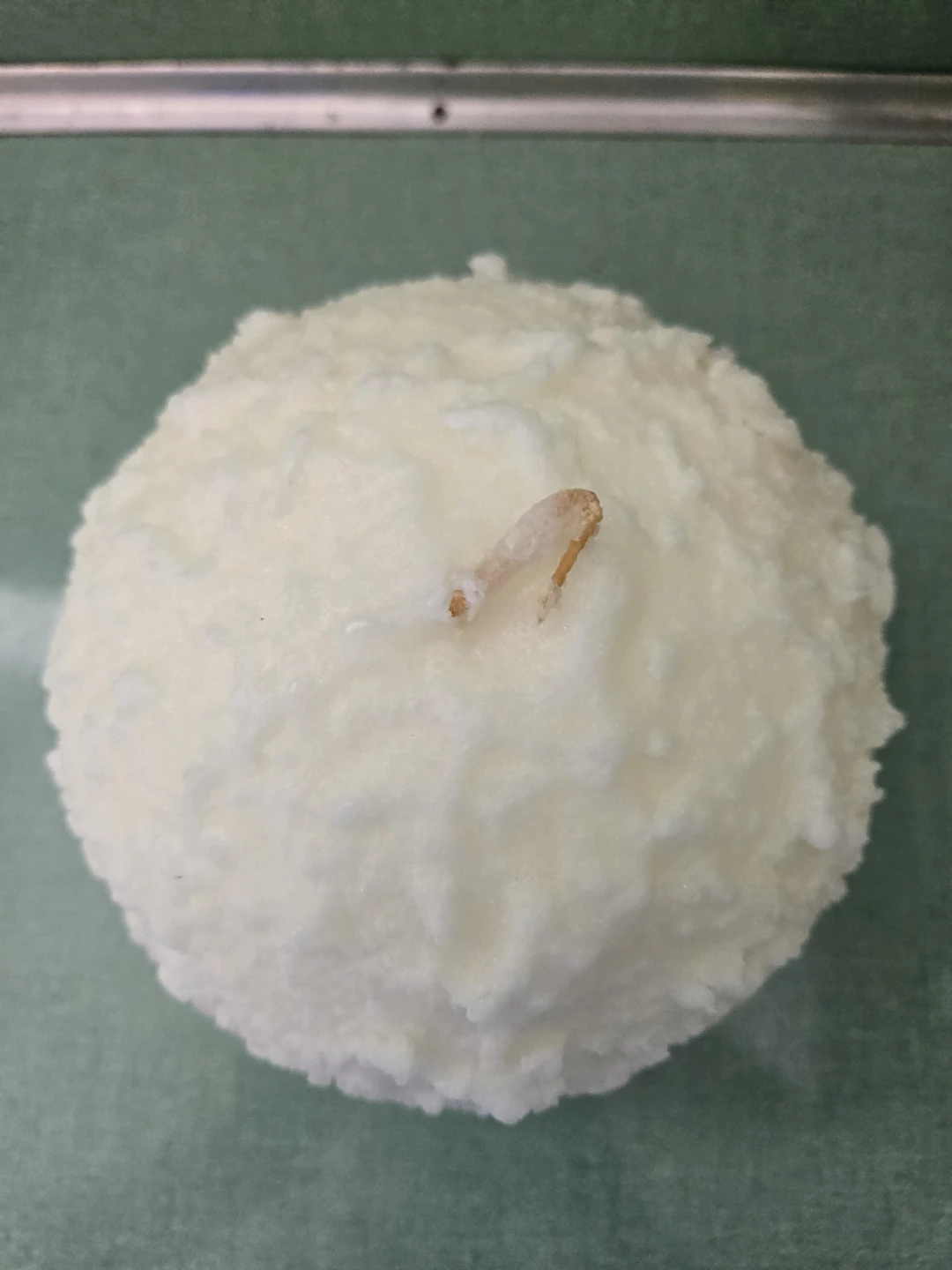PARTYLITE SNOWBALL CANDLE