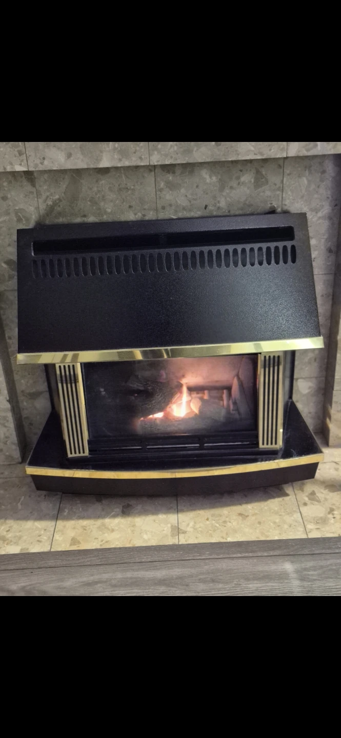 Gas Fireplace Insert - photo 2