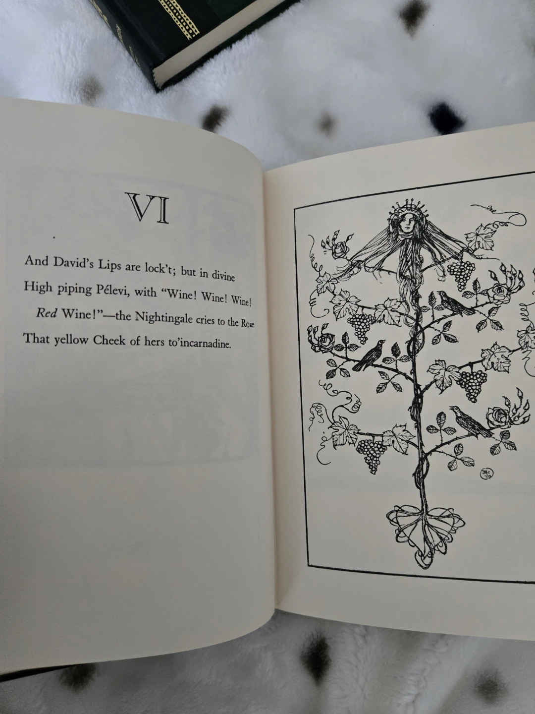 Rubaiyat of Omar Khayyam Book - photo 4