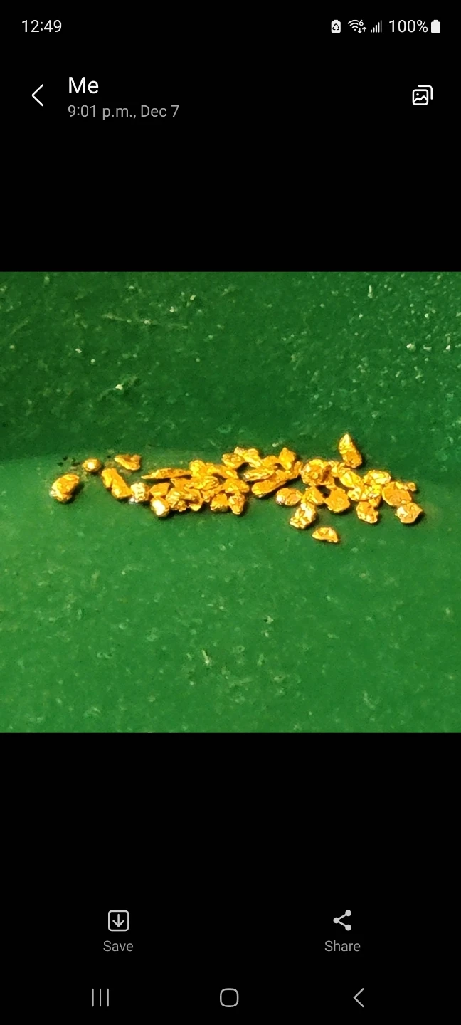 Real Gold 24k (placer paydirt)
