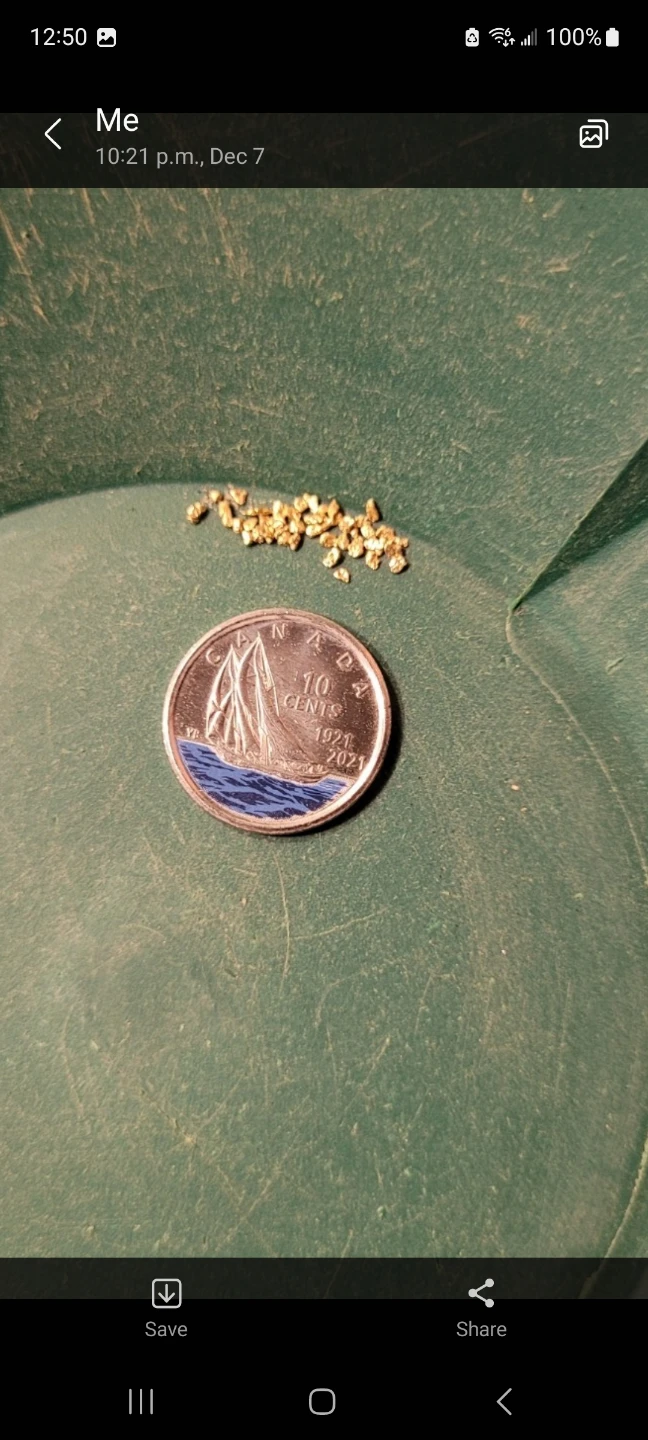 Real Gold 24k (placer paydirt) - photo 2
