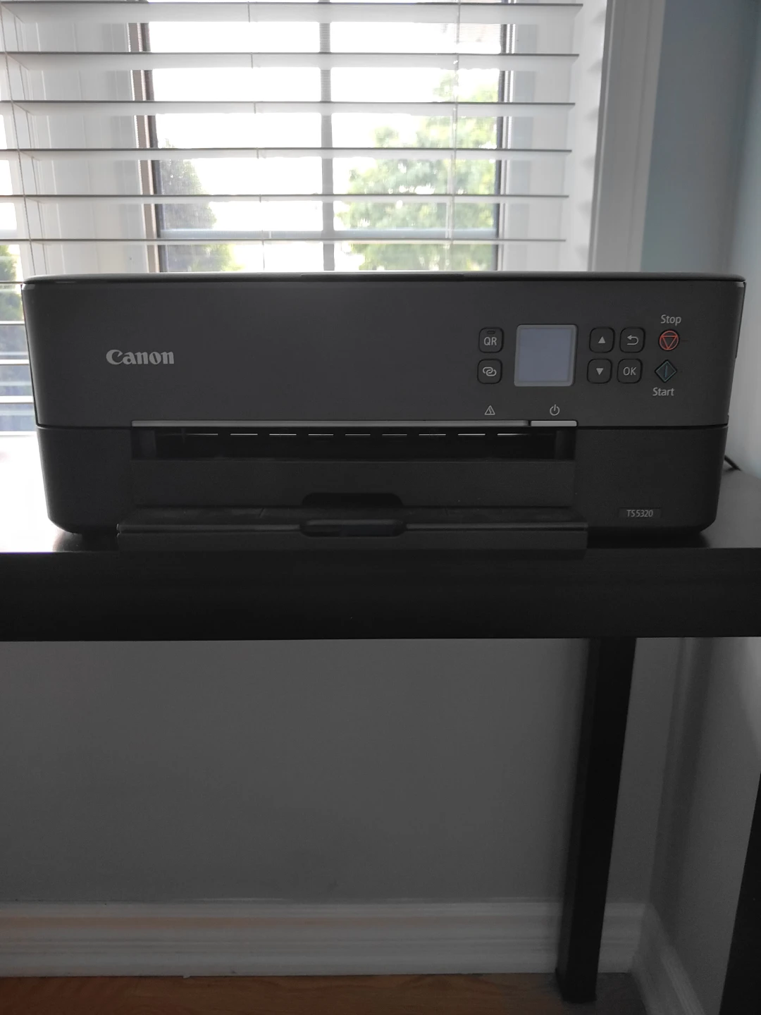 Canon PIXMA TS5320 All-In-One Printer