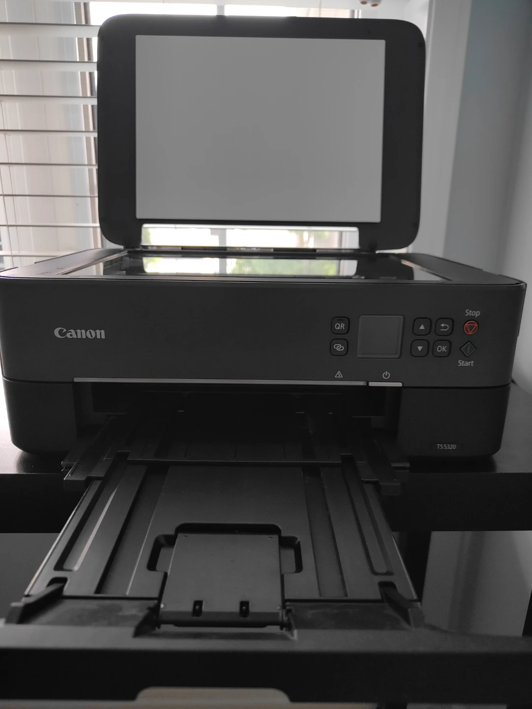 Canon PIXMA TS5320 All-In-One Printer - photo 3