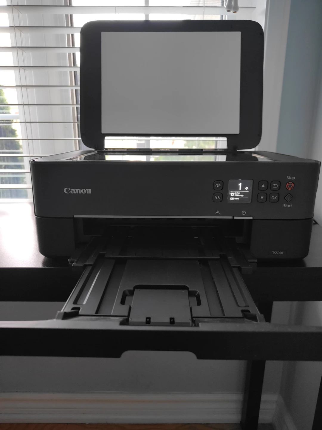 Canon PIXMA TS5320 All-In-One Printer - photo 4