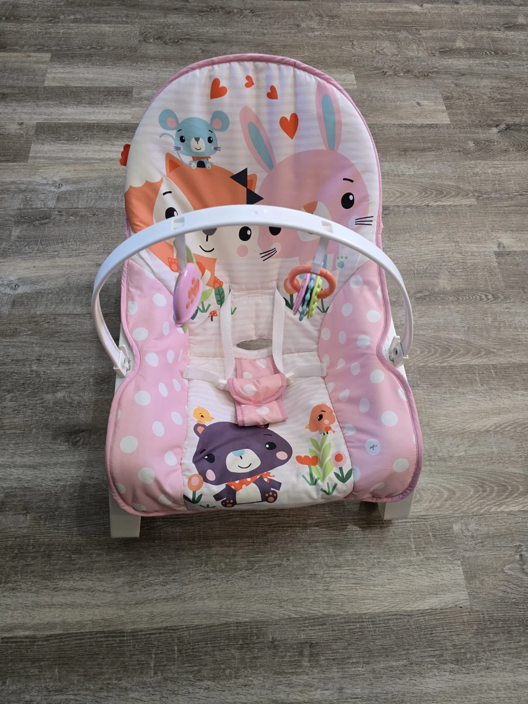 Fisher-Price Baby Bouncer Seat