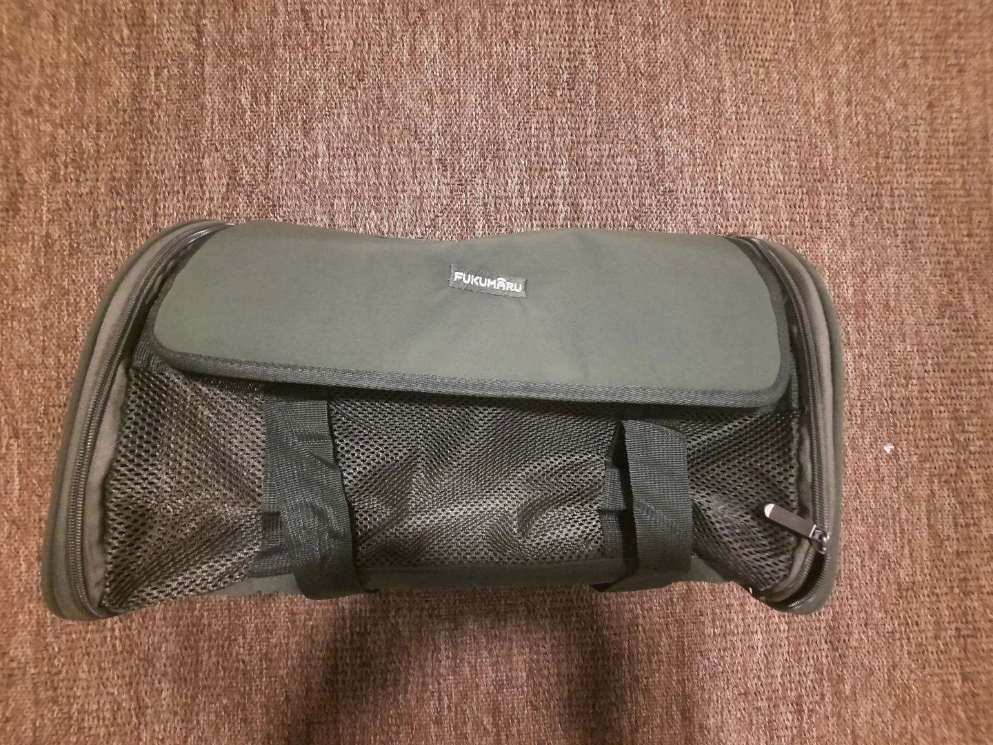 Cat Carrier, Light & Airy Pet Carrier, Green