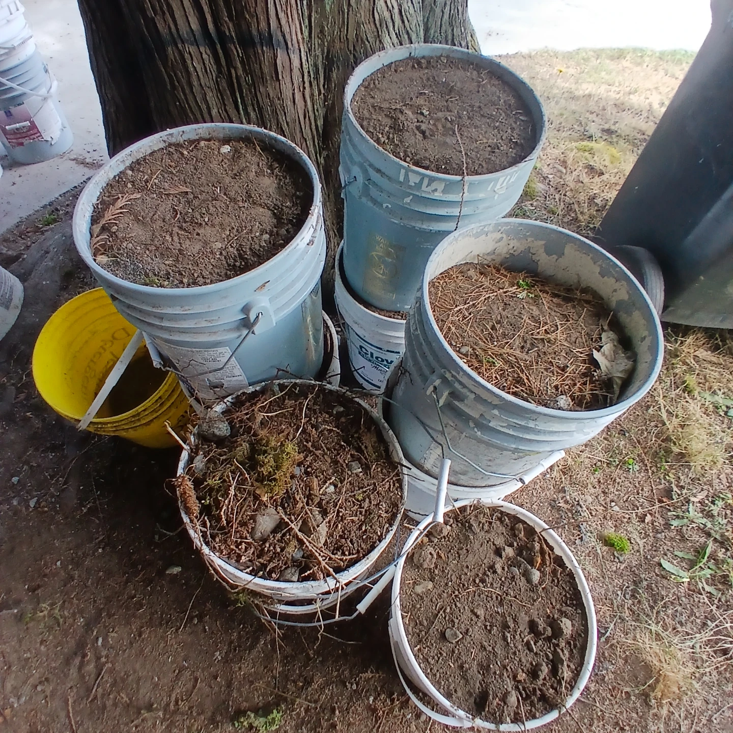 Free soil and dirt
