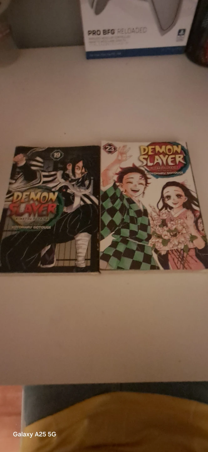 Demon Slayer Manga Volumes 19 & 23