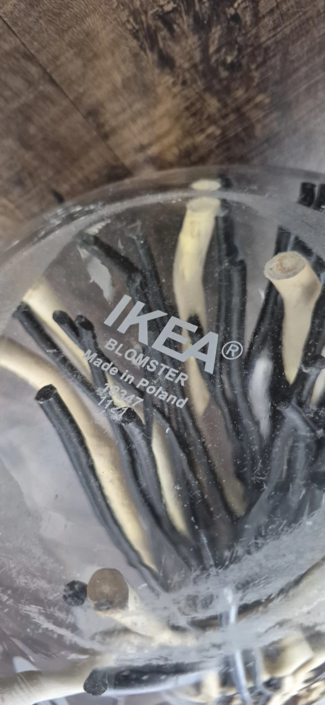 IKEA BLOMSTER Decorative Branches - photo 4